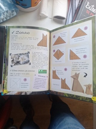 Mi Primer Libro de Origami