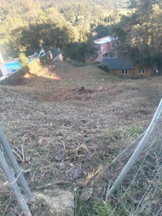 Limpieza jardines parcelas y poda