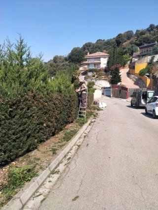Limpieza jardines parcelas y poda