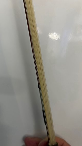Violín Parrot 4/4 con estuche y arco
