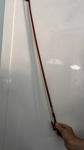 Violín Parrot 4/4 con estuche y arco