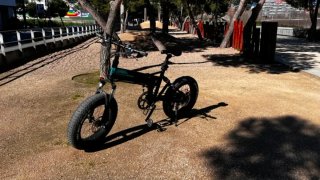 Bici Eléctrica Fiido M1 Pro Fat Bike