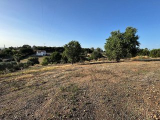 Terreno en venta en Ctra de Sevilla - Ronda sur en Badajoz