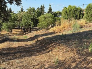 Terreno en venta en Ctra de Sevilla - Ronda sur en Badajoz