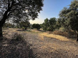 Terreno en venta en Ctra de Sevilla - Ronda sur en Badajoz