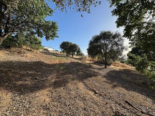 Terreno en venta en Ctra de Sevilla - Ronda sur en Badajoz