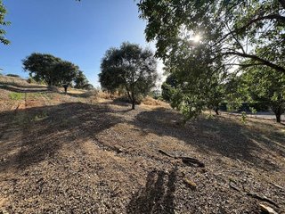 Terreno en venta en Ctra de Sevilla - Ronda sur en Badajoz