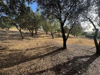 Terreno en venta en Ctra de Sevilla - Ronda sur en Badajoz