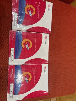 Lengua Castellana y Literatura, 4 Primaria, Moc...