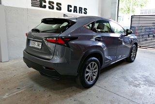Lexus NX300H Corporate 197 cv