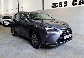 Lexus NX300H Corporate 197 cv