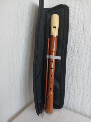 Flauta dulce HOHNER madera y plástico. Funda.