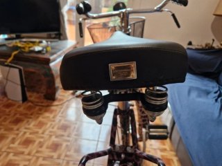 Bicicleta Dolce & Gabbana Edición Limitada