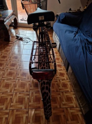 Bicicleta Dolce & Gabbana Edición Limitada