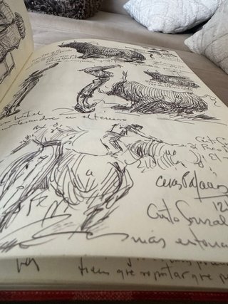 Libro con dibujos originales de Cesar Papacios