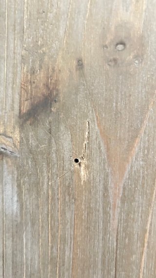Espejo Maison du Monde. Madera de nogal