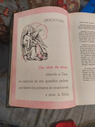Biblia juvenil