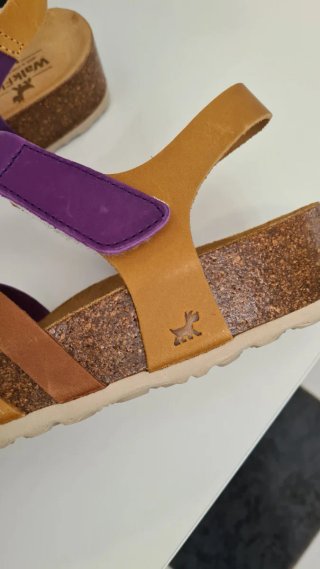 Sandalias Walk Flex Multicolor