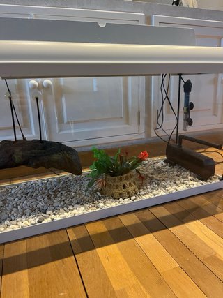 Pecera grande con accesorios