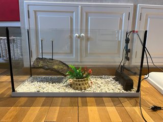 Pecera grande con accesorios