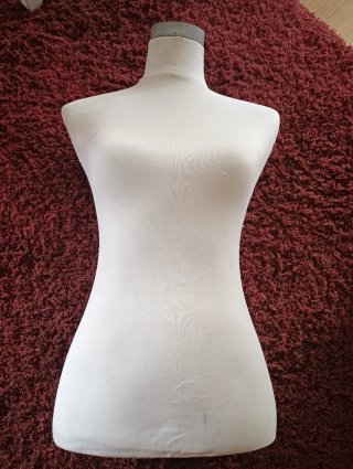Torsos maniquí