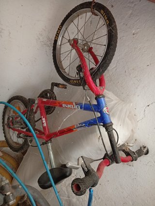Bicicleta infantil Dino Jr. roja y azul