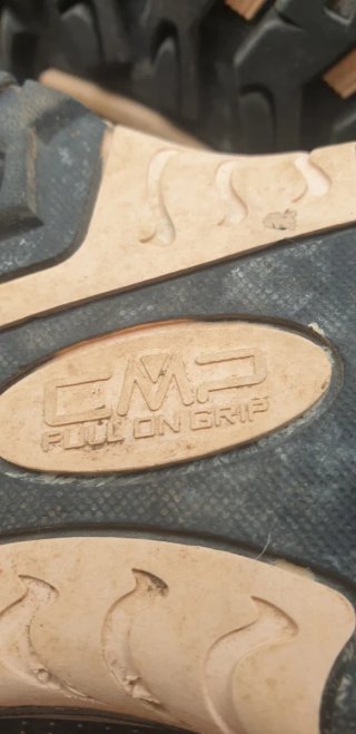 Zapatillas