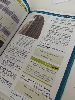 Libro de Coloración capilar