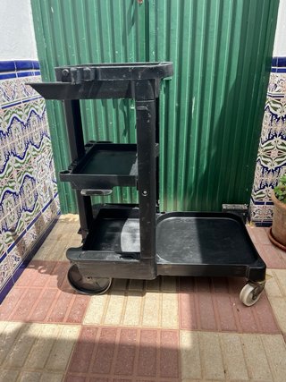 Carro limpieza profesional