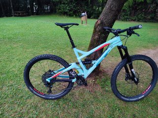 Bicicleta de Descenso GT