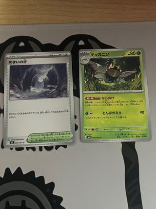 15 Cartas Pokémon Japonesas Originales