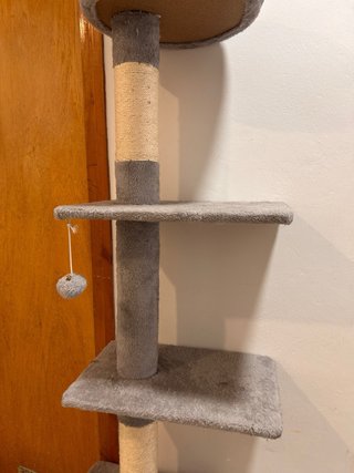 Rascador gato 226-265,5cm