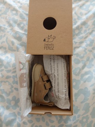 Zapatos bebé Feroz Talla S