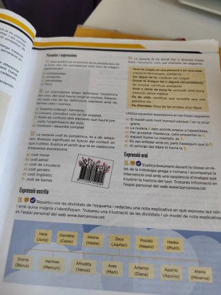 Llengua catalana, 4 ESO