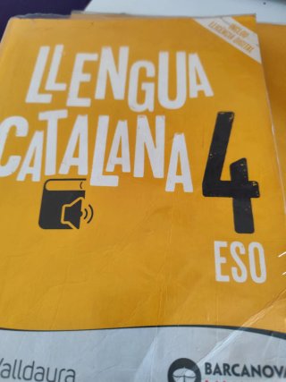 Llengua catalana, 4 ESO
