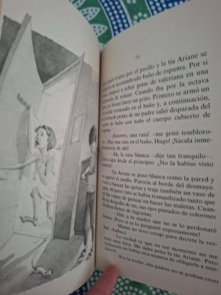 El verano de los animales