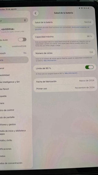 iPad Pro 11 M4 98% Batería