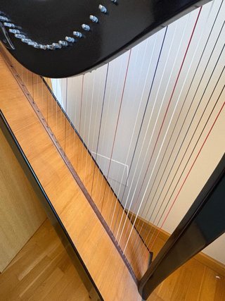 Arpa Celta de 36 Cuerdas