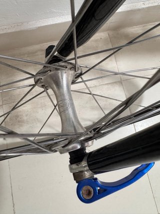 Bici Carretera Opera Pinarello T. M Campagnolo