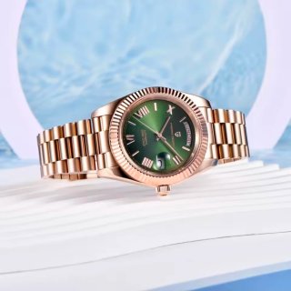 Reloj PAGANI DESIGN Automático Hombre Oro Verde