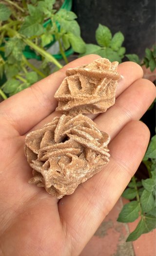 Rosa del desierto mineral 2 unidades por 2€