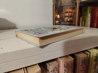 Libro Marianela