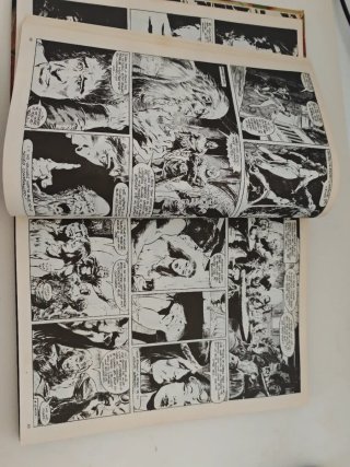 La espada salvaje de Conan el bárbaro. Tomo 14