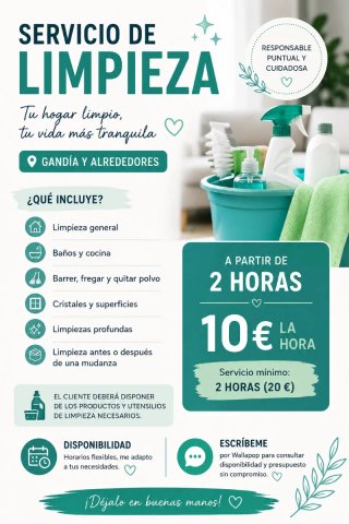 Limpieza profesional.