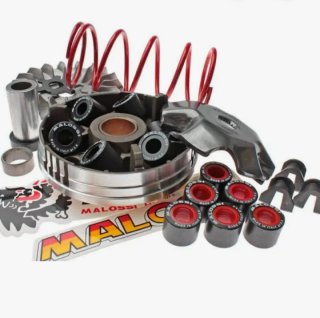 INTERESADO EN VARIADOR PARA PIAGGIO LIBERTY 125cc
