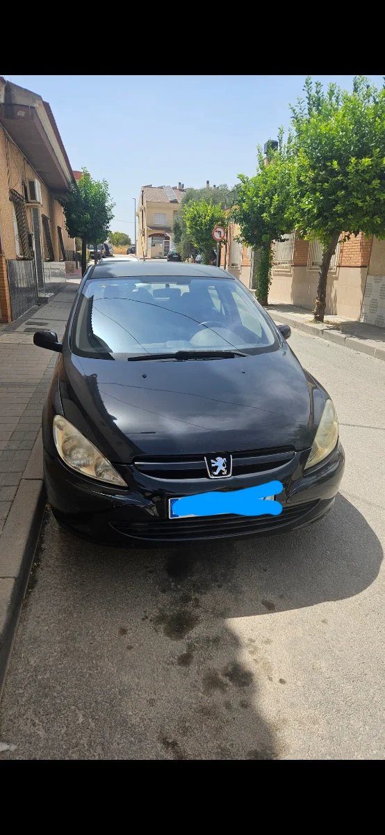 Peugeot 307 2005 - foto 1