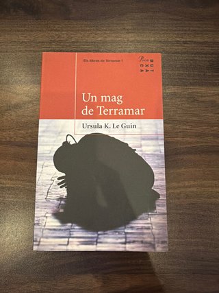 Un mag de Terramar