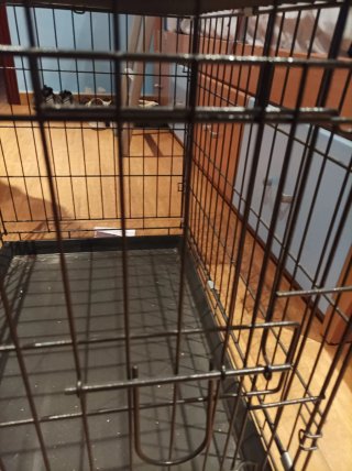 Jaula para perros con bandeja 45 de ancho 60 largo