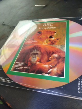 Lote de Discos Vinilo National Geographic y Couste