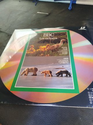 Lote de Discos Vinilo National Geographic y Couste